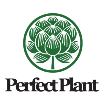 Image for Perfect Plant with ID of: 6218453