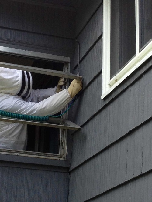 Image for Pest Specialist LLC with ID of: 5171552