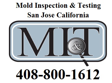 Image for Mold Inspection & Testing San Jose CA with ID of: 621948