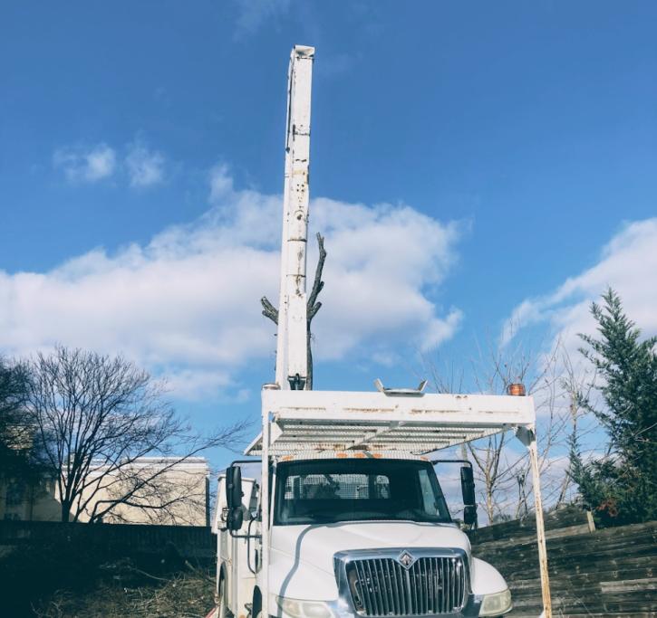 Image for Shelton's Tree Service with ID of: 5174005