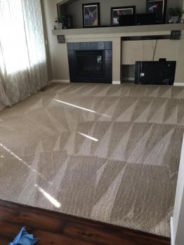Image for Magic Steam Carpet Cleaning with ID of: 5174464