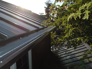 Image for Leafless in Seattle with ID of: 5174747