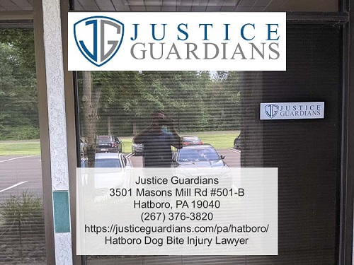 Image for Justice Guardians with ID of: 5176594
