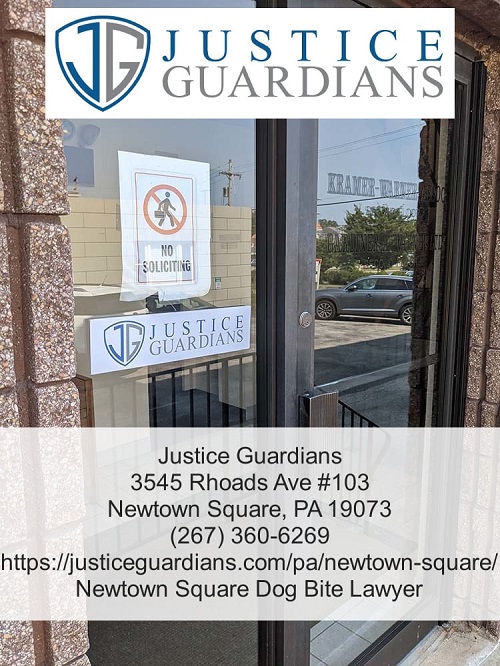 Image for Justice Guardians with ID of: 5179098