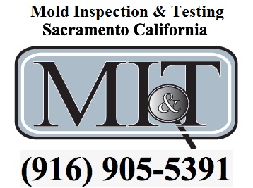 Image for Mold Inspection & Testing Sacramento CA with ID of: 622284