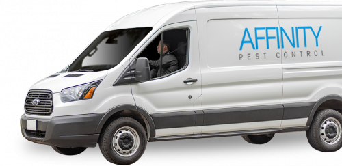 Image for Affinity Pest Control with ID of: 5181619