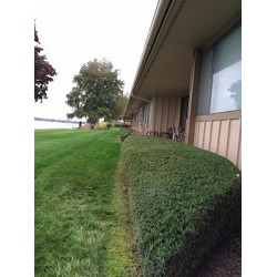 Image for HP Tree Service with ID of: 5181735