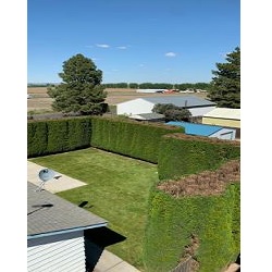 Image for HP Tree Service with ID of: 5181737