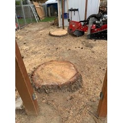 Image for HP Tree Service with ID of: 5181740