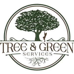 Image for Tree and Green Services with ID of: 6225936