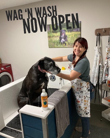 Image for Wag It Better Family Dog Training and Boutique with ID of: 5183667