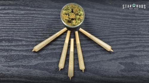 Image for Star Buds with ID of: 5183939