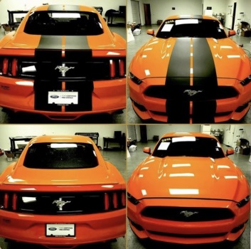 Image for Crush Customs Leather Seats with ID of: 5183951