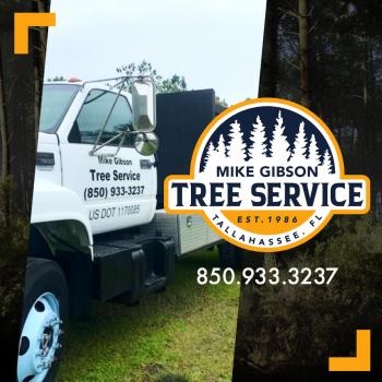 Image for Mike Gibson Tree Service with ID of: 5185661