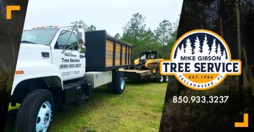 Image for Mike Gibson Tree Service with ID of: 5185662