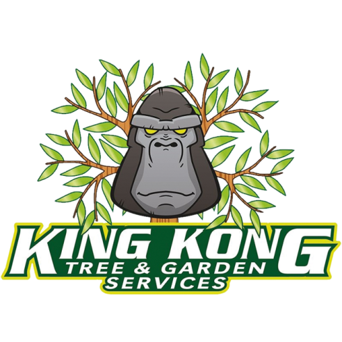 Image for King Kong Tree Services with ID of: 6228465