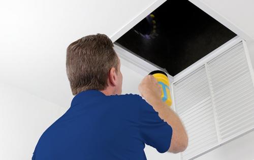 Image for Hawkeye Home & Pest Solutions with ID of: 5189025
