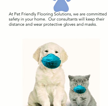 Image for Pet Friendly Flooring Solutions with ID of: 5191821