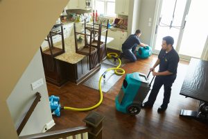 Image for ServiceMaster By Johnson with ID of: 5193429