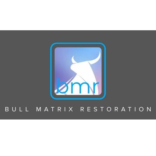 Image for Bull Matrix Restoration with ID of: 4401929