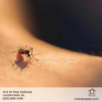 Image for M&W Pest Defense with ID of: 5195039