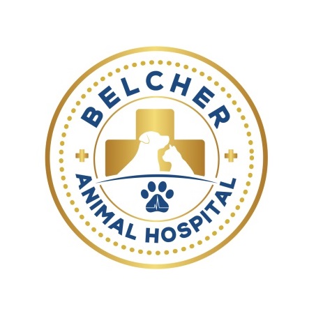 Image for Belcher Animal Hospital with ID of: 6232203
