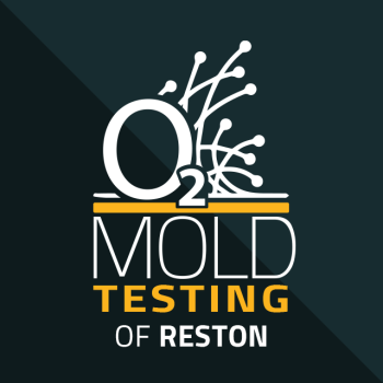 Image for O2 Mold Testing of Reston with ID of: 6232688