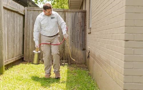 Image for Green Day Pest Control with ID of: 5196277