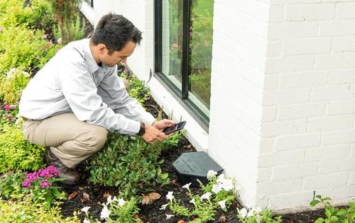 Image for Green Day Pest Control with ID of: 5196278