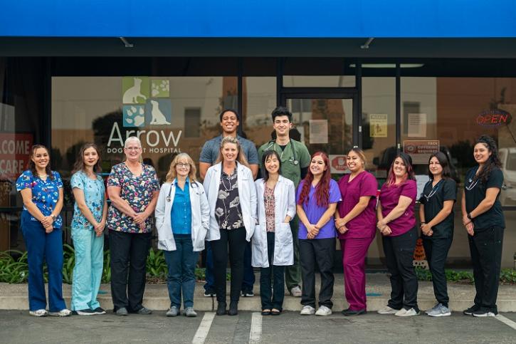 Image for Arrow Dog And Cat Hospital with ID of: 5197671