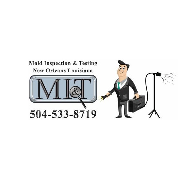 Image for Mold Inspection & Testing New Orleans with ID of: 6235271