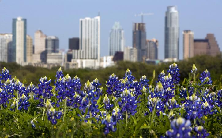 Image for Looking for Great Pet Friendly Austin Real Estate? with ID of: 623906
