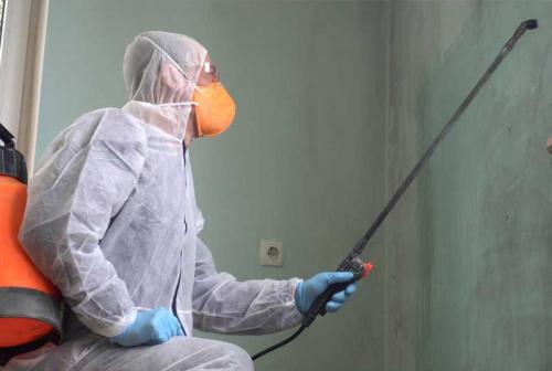 Image for Mold Masters with ID of: 5203106