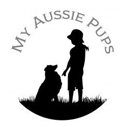 Image for My Aussie Pups with ID of: 6241866