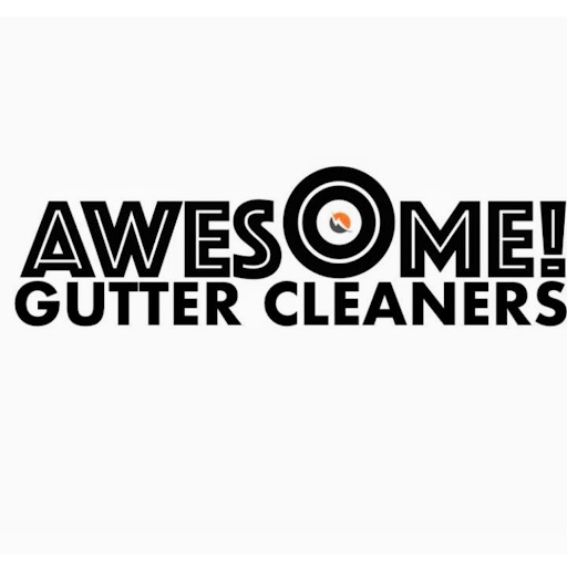 Image for Awesome Gutter Cleaners with ID of: 6242757