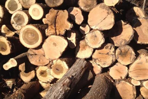 Image for Greg Hooper Logging with ID of: 5211545
