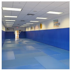 Image for Performance Jiu-Jitsu & Self Defense Academy with ID of: 5211658
