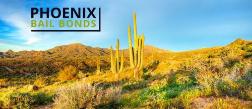 Image for Phoenix Bail Bonds with ID of: 5215321