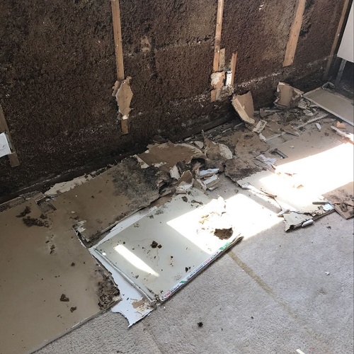Image for Swift Restoration with ID of: 5216014