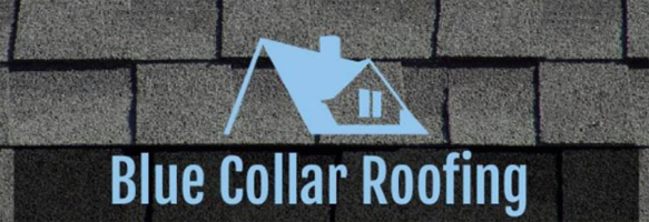 Image for Blue Collar Roofing with ID of: 6249059