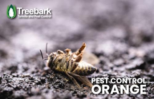 Image for Treebark Termite and Pest Control Orange with ID of: 5217026