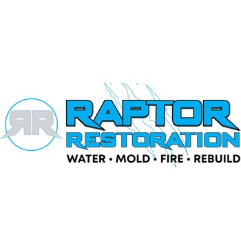Image for Raptor Restoration with ID of: 6249948