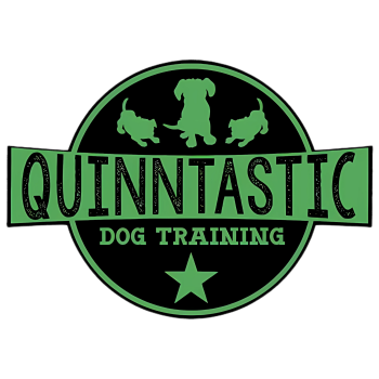 Image for Quinntastic Dog Training with ID of: 6253438