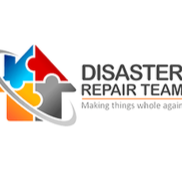 Image for Disaster Repair Team with ID of: 6254779
