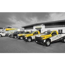 Image for Diamond Exterminators with ID of: 5227362