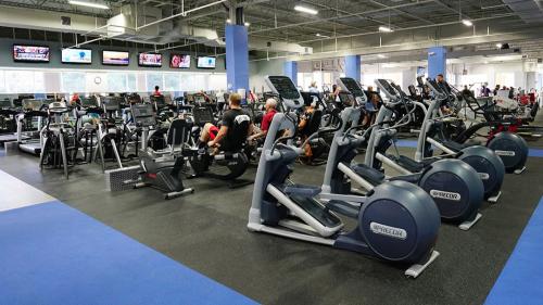 Image for Palm Beach Gym with ID of: 5230656