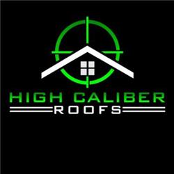 Image for High Caliber Roofs with ID of: 6259344