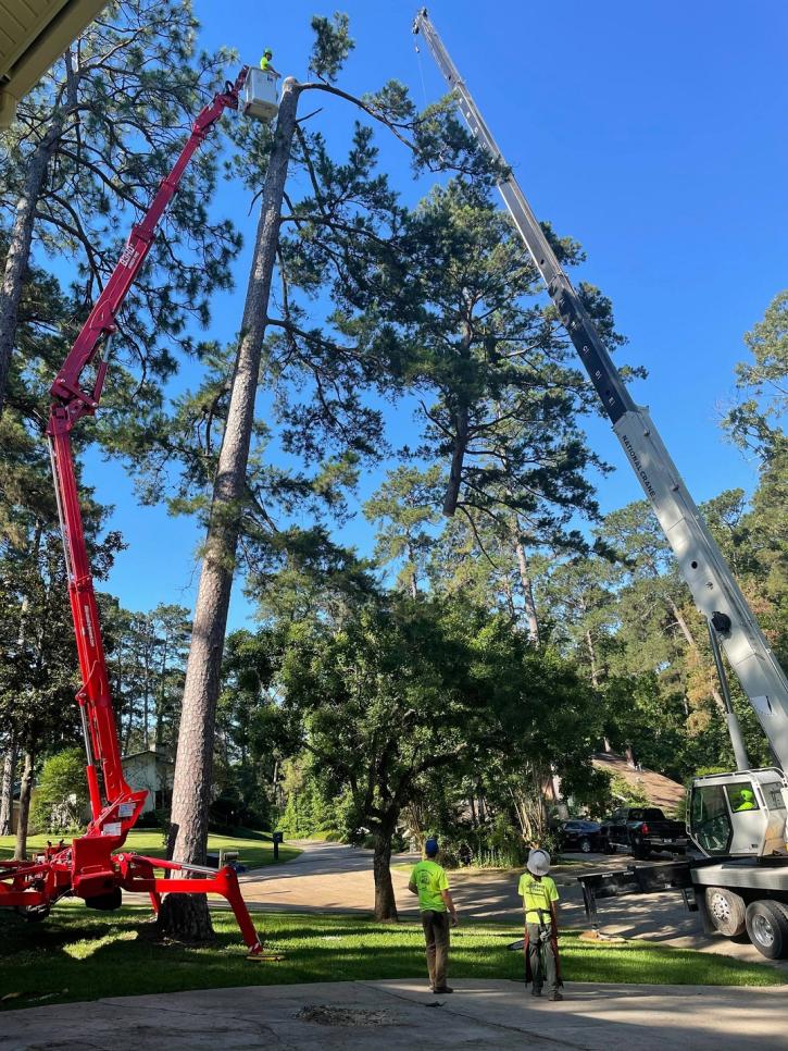 Image for Mr Green Jeans Tree Service with ID of: 5235313