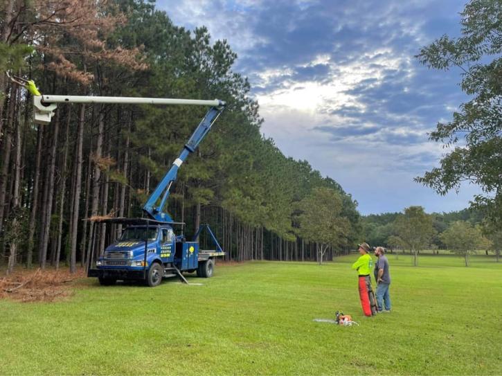 Image for Mr Green Jeans Tree Service with ID of: 5235316
