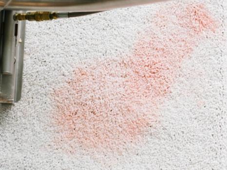 Image for Zerorez Carpet Cleaning with ID of: 5235386